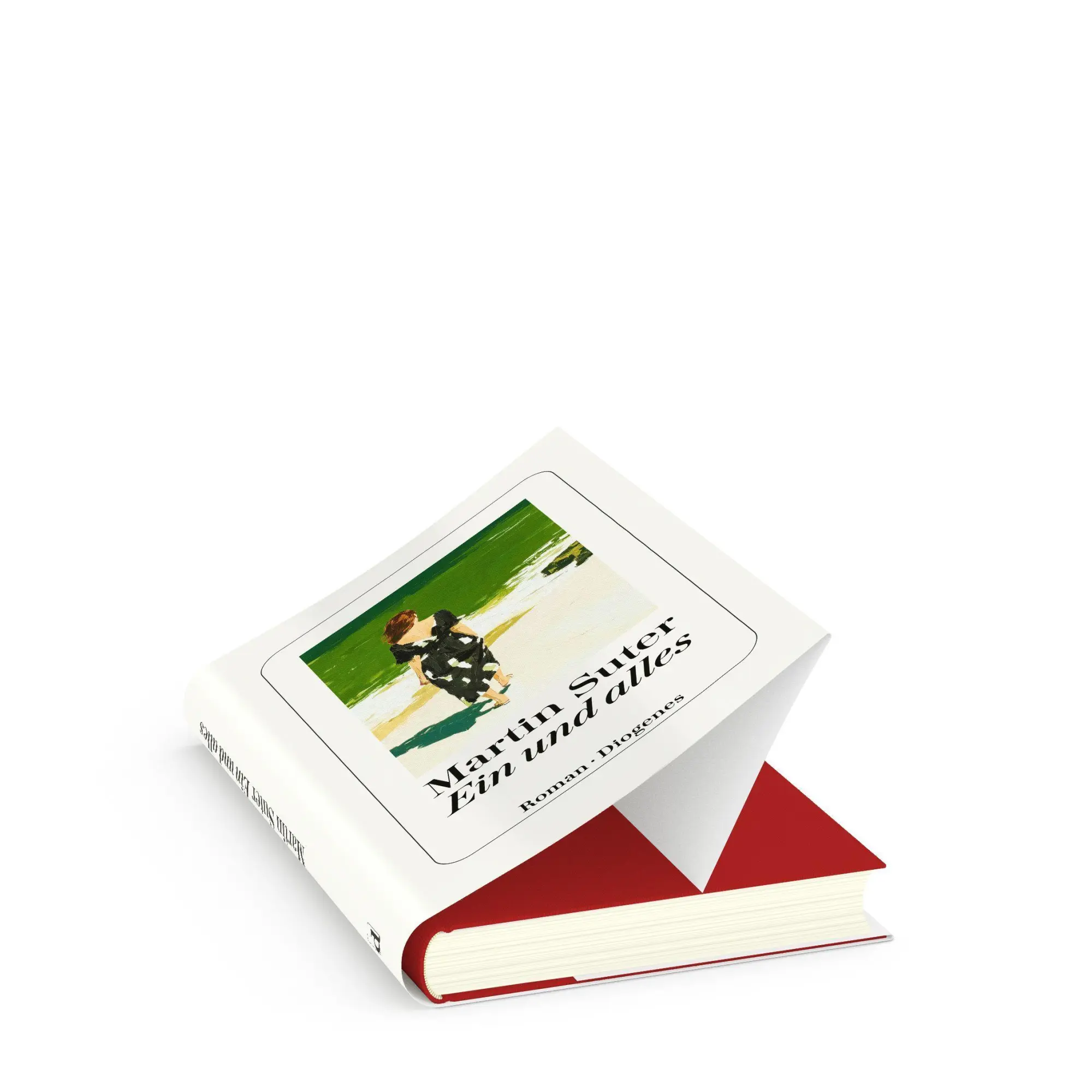 Bild: 9783257073966 | Ein und Alles | Martin Suter | Buch | 304 S. | Deutsch | 2026