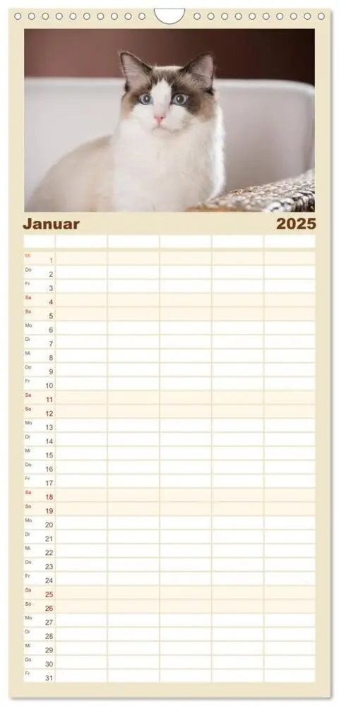 Bild: 9783457123966 | Familienplaner 2025 - Zauberhafte Ragdolls mit 5 Spalten...
