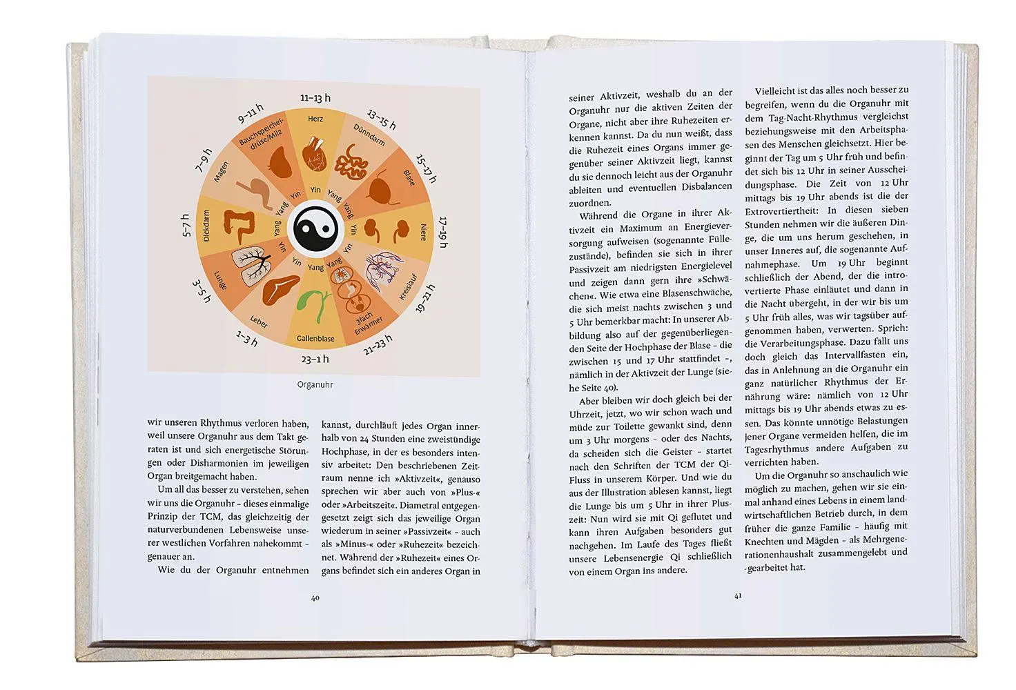 Bild: 9783426564066 | Nimm deine Gesundheit selbst in die Hand | Ingrid Ulbrich | Buch