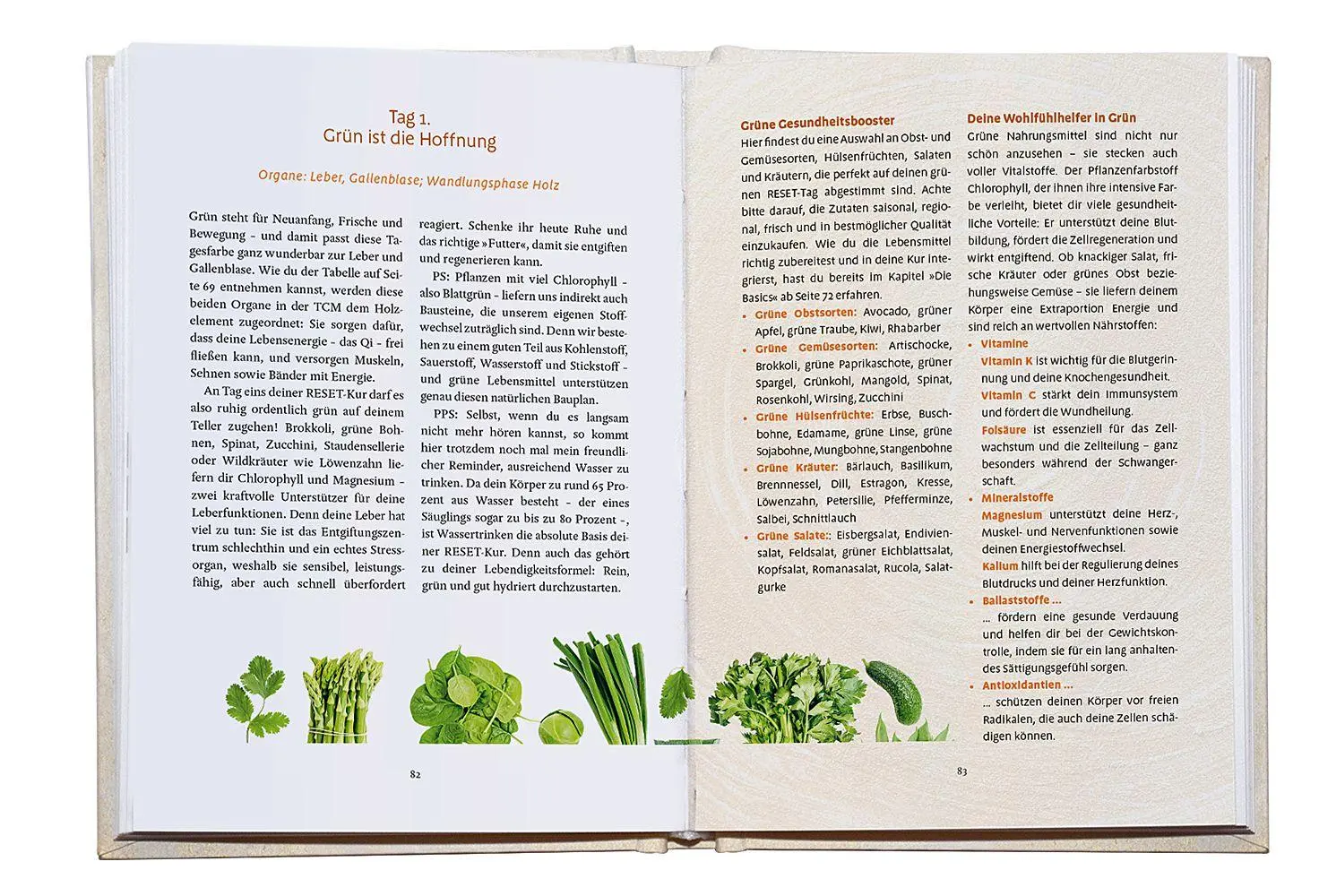 Bild: 9783426564066 | Nimm deine Gesundheit selbst in die Hand | Ingrid Ulbrich | Buch