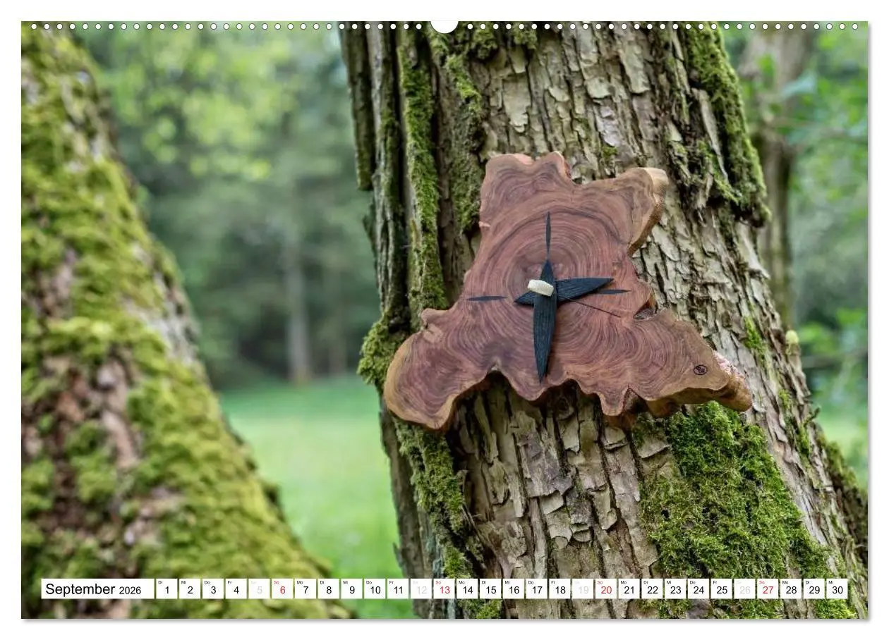 Bild: 9783457944066 | Holz enttäuscht nie (hochwertiger Premium Wandkalender 2026 DIN A2...