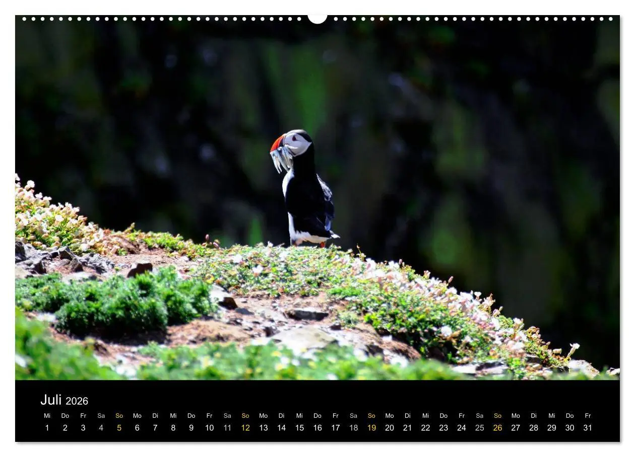 Bild: 9783516034066 | Wales Pembrokeshire - Natur im Fokus- (hochwertiger Premium...