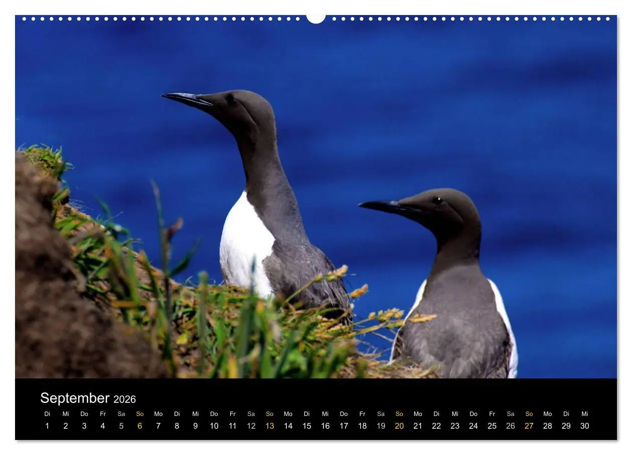 Bild: 9783516034066 | Wales Pembrokeshire - Natur im Fokus- (hochwertiger Premium...