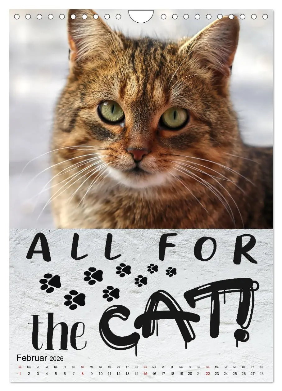 Bild: 9783516344066 | Cooles Denglisch (Wandkalender 2026 DIN A4 hoch), CALVENDO...