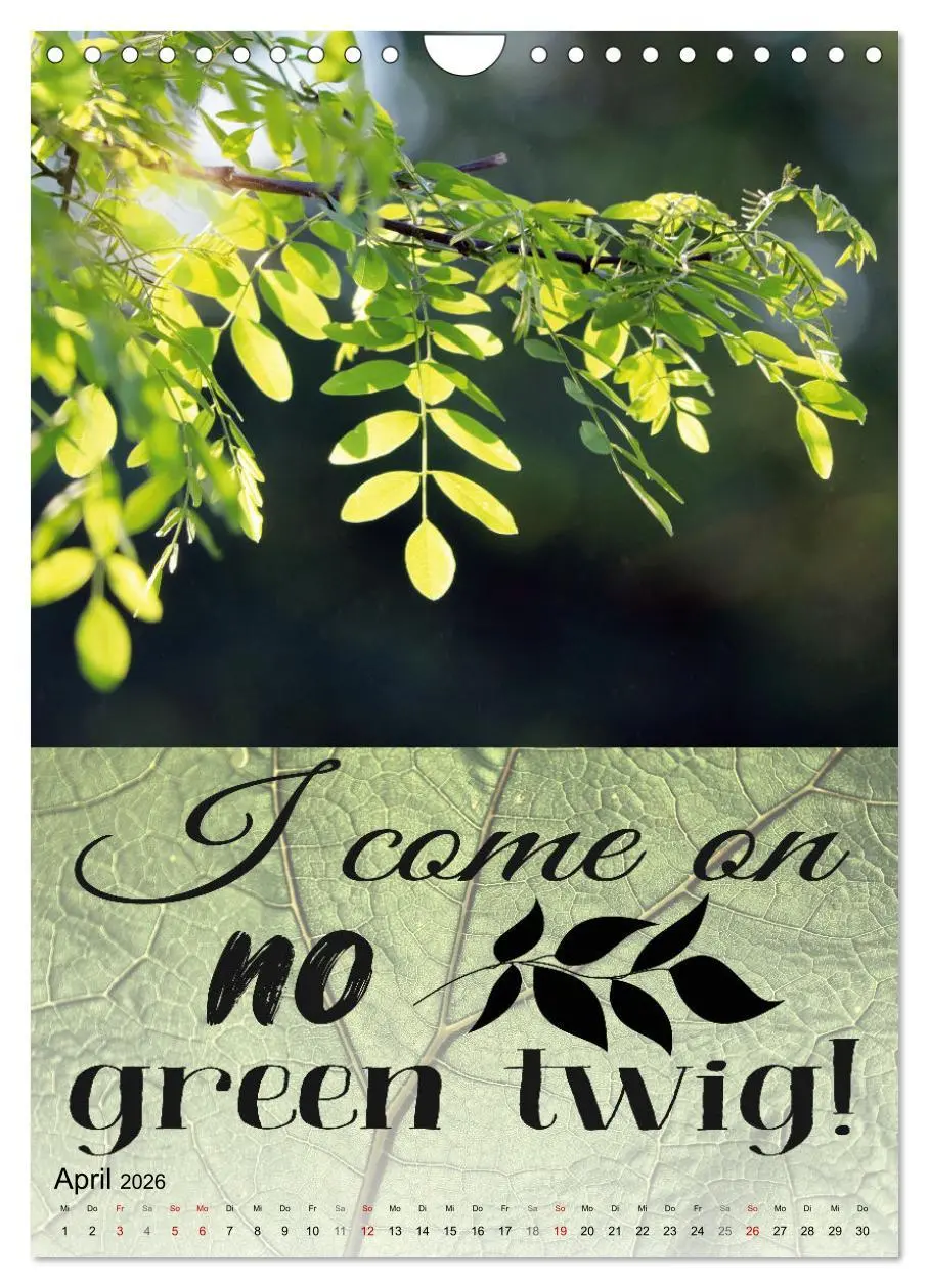 Bild: 9783516344066 | Cooles Denglisch (Wandkalender 2026 DIN A4 hoch), CALVENDO...