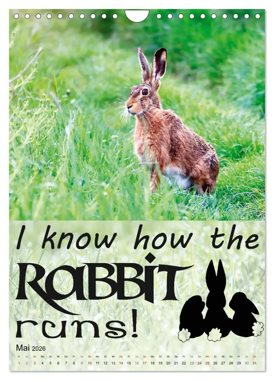 Bild: 9783516344066 | Cooles Denglisch (Wandkalender 2026 DIN A4 hoch), CALVENDO...