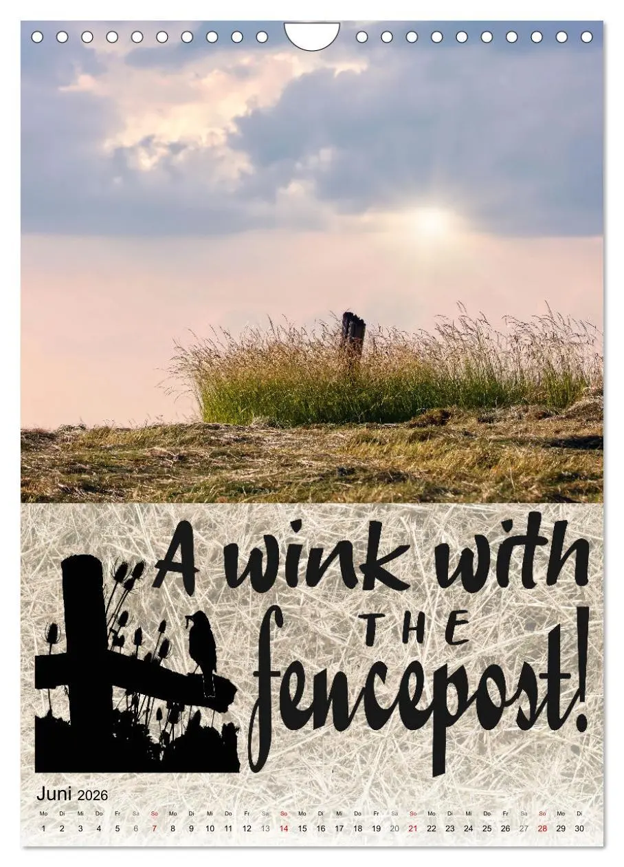 Bild: 9783516344066 | Cooles Denglisch (Wandkalender 2026 DIN A4 hoch), CALVENDO...