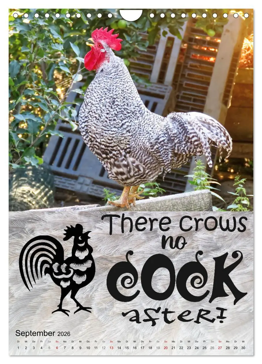 Bild: 9783516344066 | Cooles Denglisch (Wandkalender 2026 DIN A4 hoch), CALVENDO...