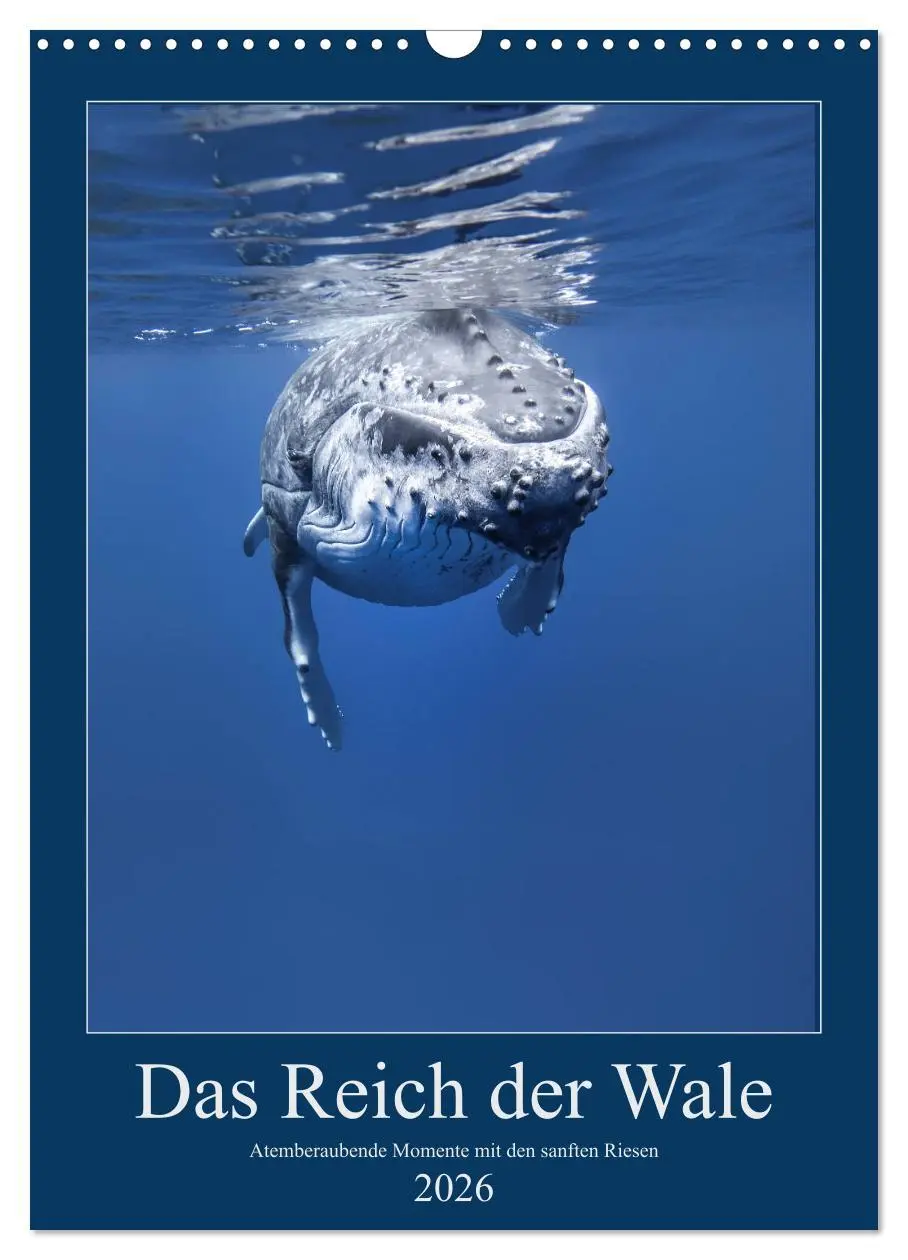 Cover: 9783516414066 | Im Reich der Wale (Wandkalender 2026 DIN A3 hoch), CALVENDO...