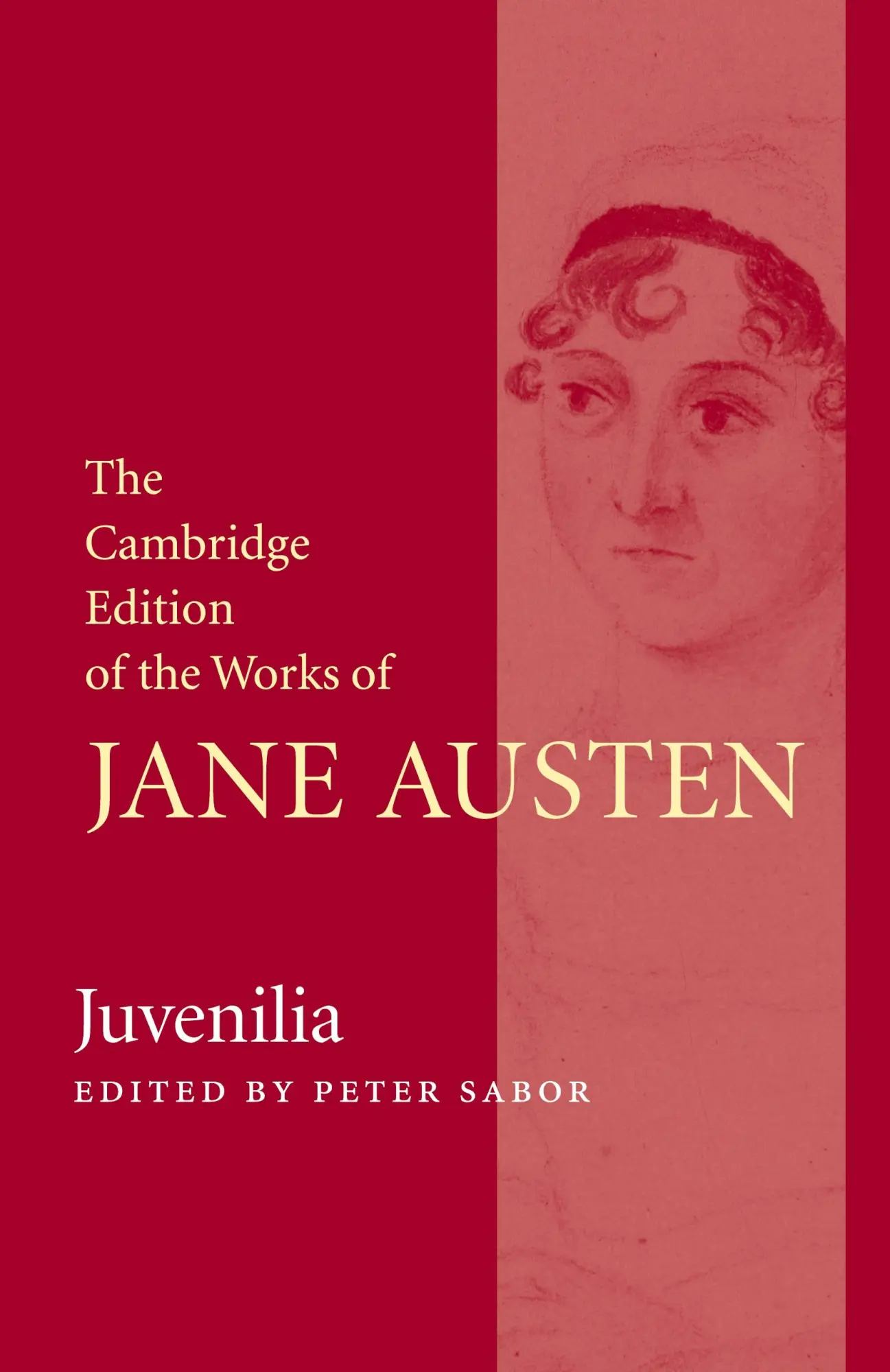 Cover: 9781107044166 | Juvenilia | Jane Austen | Taschenbuch | Englisch | 2013