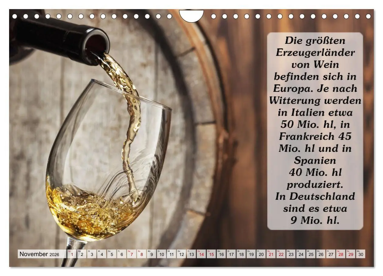 Bild: 9783457624166 | Wissenswertes über Wein (Wandkalender 2026 DIN A4 quer), CALVENDO...