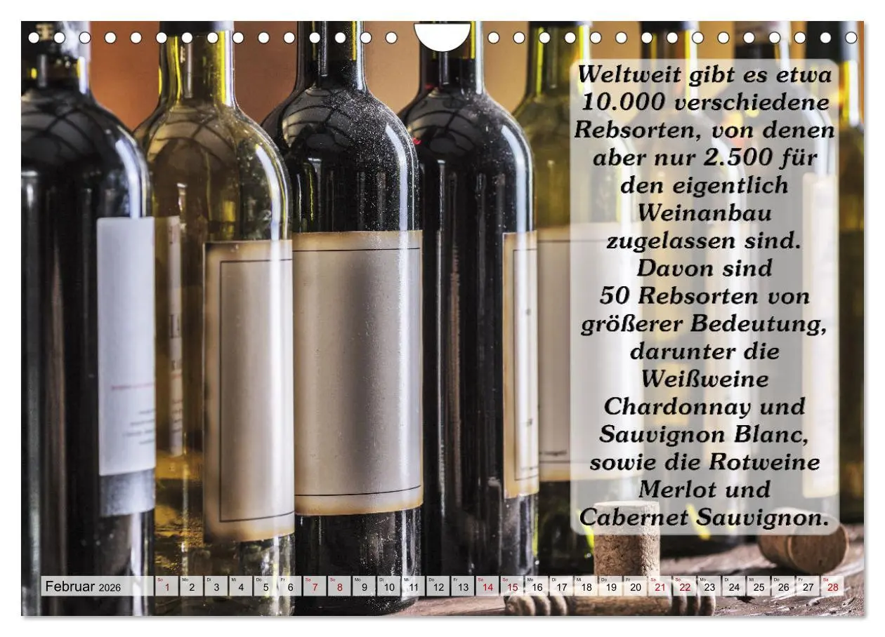 Bild: 9783457624166 | Wissenswertes über Wein (Wandkalender 2026 DIN A4 quer), CALVENDO...