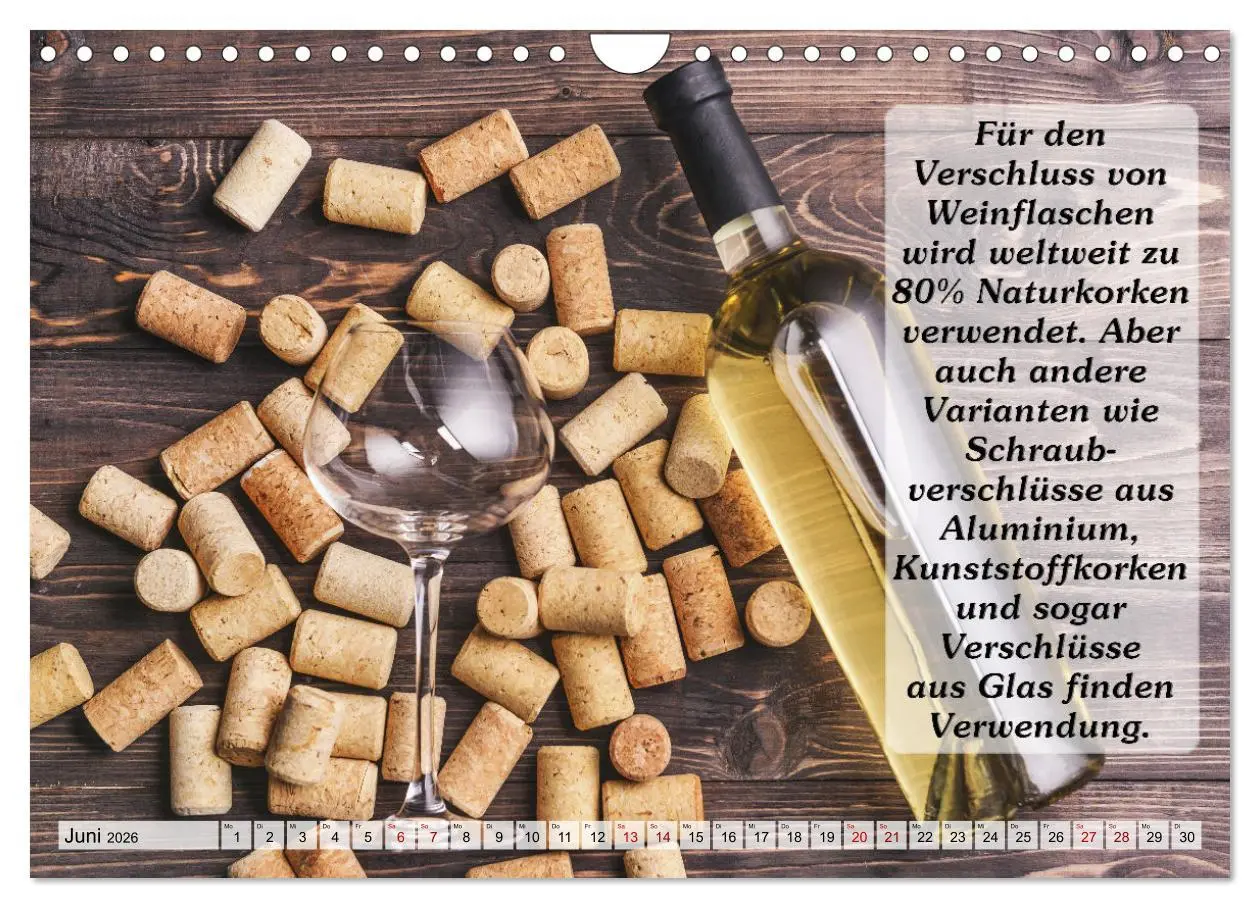 Bild: 9783457624166 | Wissenswertes über Wein (Wandkalender 2026 DIN A4 quer), CALVENDO...