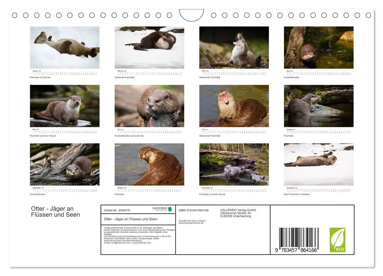 Bild: 9783457864166 | Otter - Jäger an Flüssen und Seen (Wandkalender 2026 DIN A4 quer),...