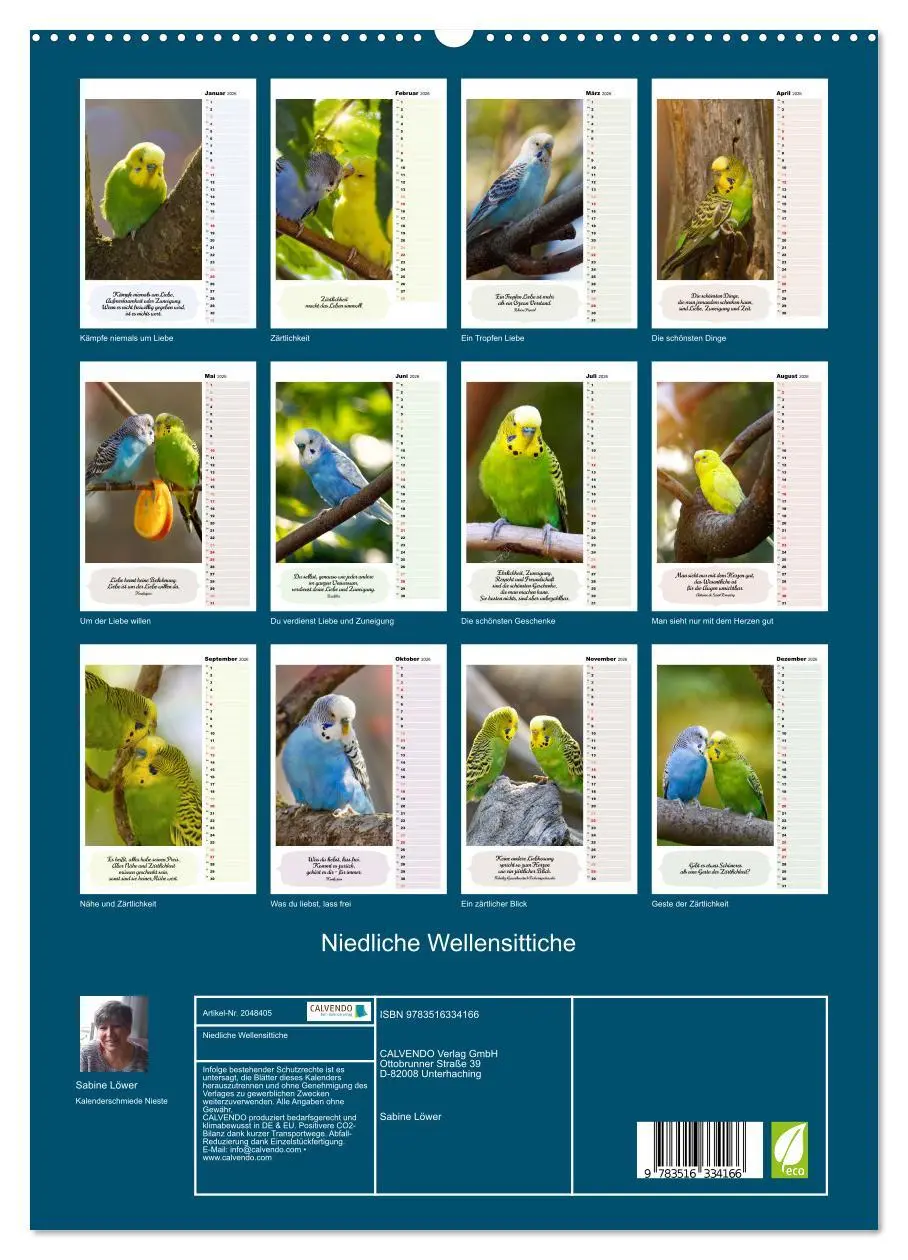 Bild: 9783516334166 | Niedliche Wellensittiche (hochwertiger Premium Wandkalender 2026...