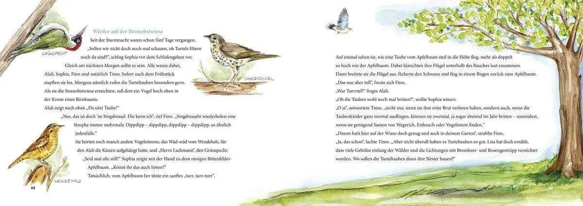 Bild: 9783866594166 | Die Taube mit dem Rucksack | Eine Geschichte zum Vogel des Jahres
