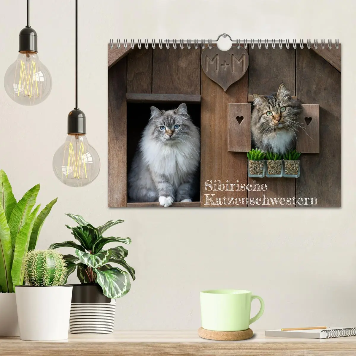 Bild: 9783457544266 | Maui und Molokai - Sibirische Katzenschwestern (Wandkalender 2026...