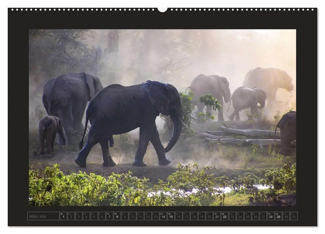 Bild: 9783516174366 | Kenia (hochwertiger Premium Wandkalender 2026 DIN A2 quer),...
