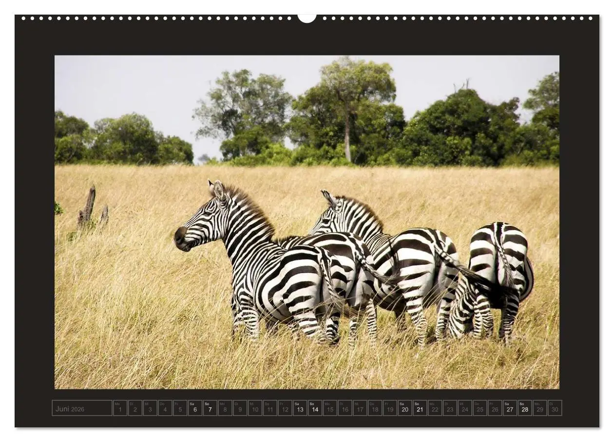Bild: 9783516174366 | Kenia (hochwertiger Premium Wandkalender 2026 DIN A2 quer),...