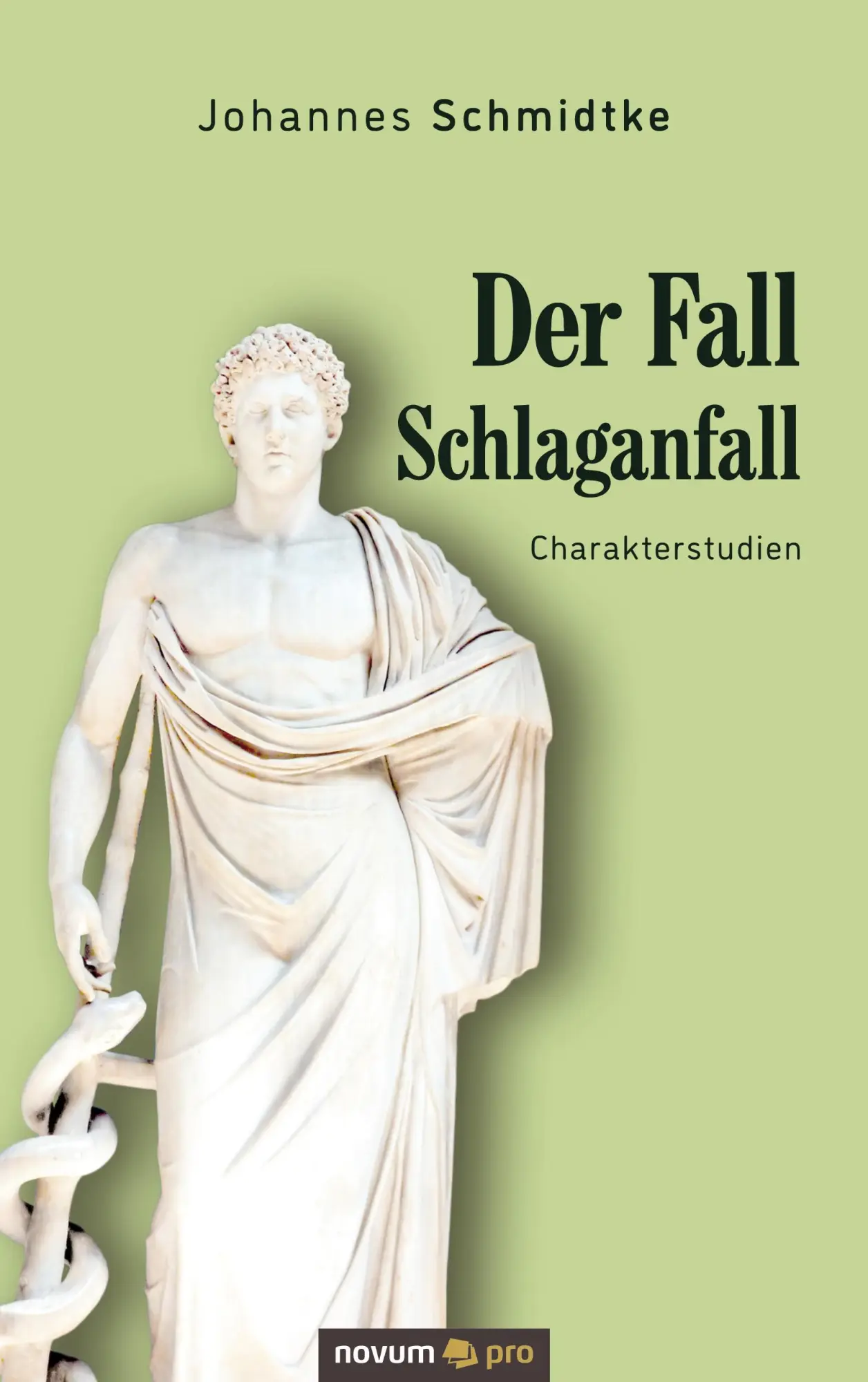 Cover: 9783991074366 | Der Fall Schlaganfall | Charakterstudien | Johannes Schmidtke | Buch