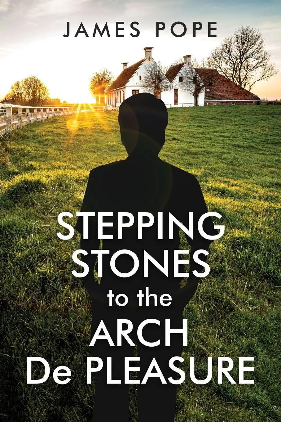 Cover: 9798889454366 | Stepping Stones to the Arch De Pleasure | James Pope | Taschenbuch