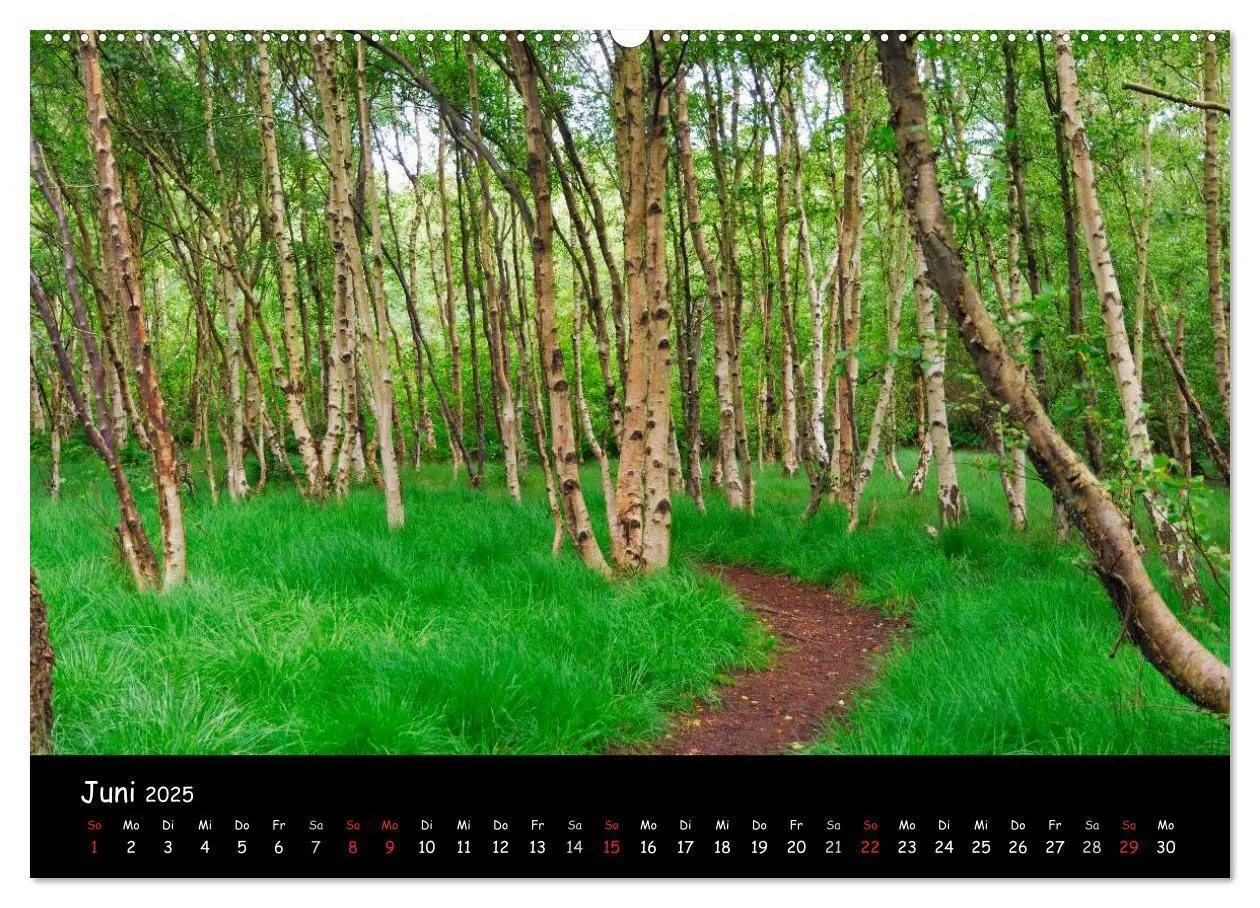 Bild: 9783435814466 | Amrum (hochwertiger Premium Wandkalender 2025 DIN A2 quer),...