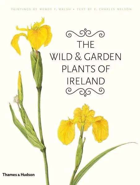 Cover: 9780500514566 | The Wild and Garden Plants of Ireland | E. Charles Nelson | Buch
