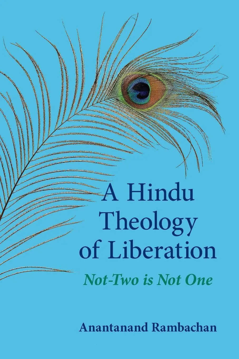 Cover: 9781438454566 | A Hindu Theology of Liberation | Not-Two Is Not One | Rambachan | Buch