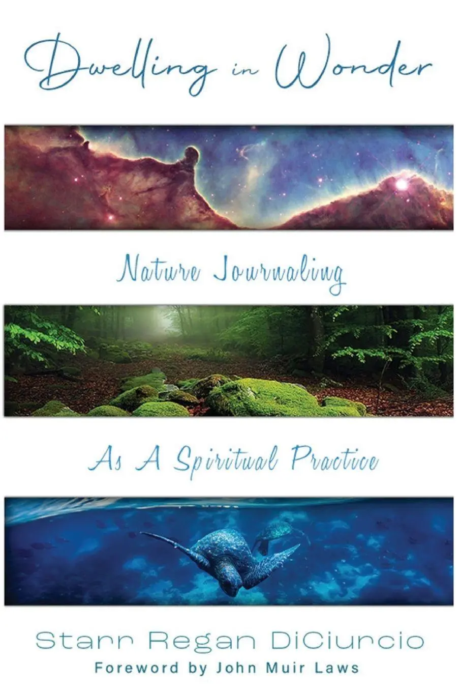 Cover: 9781961624566 | Dwelling in Wonder | Nature Journaling as a Spiritual Practice | Buch