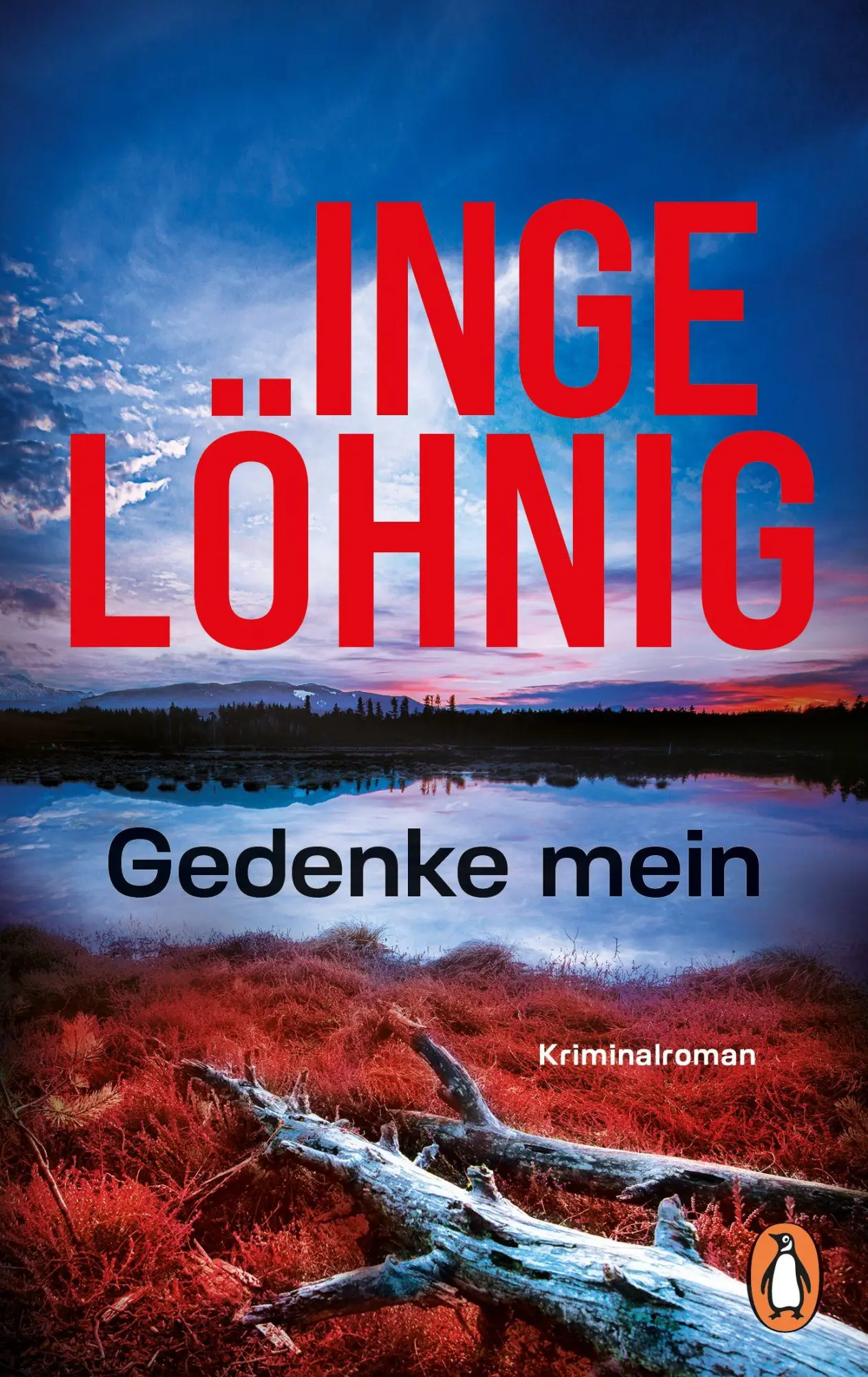 Cover: 9783328114666 | Gedenke mein | Kriminalroman | Inge Löhnig | Taschenbuch | 400 S.