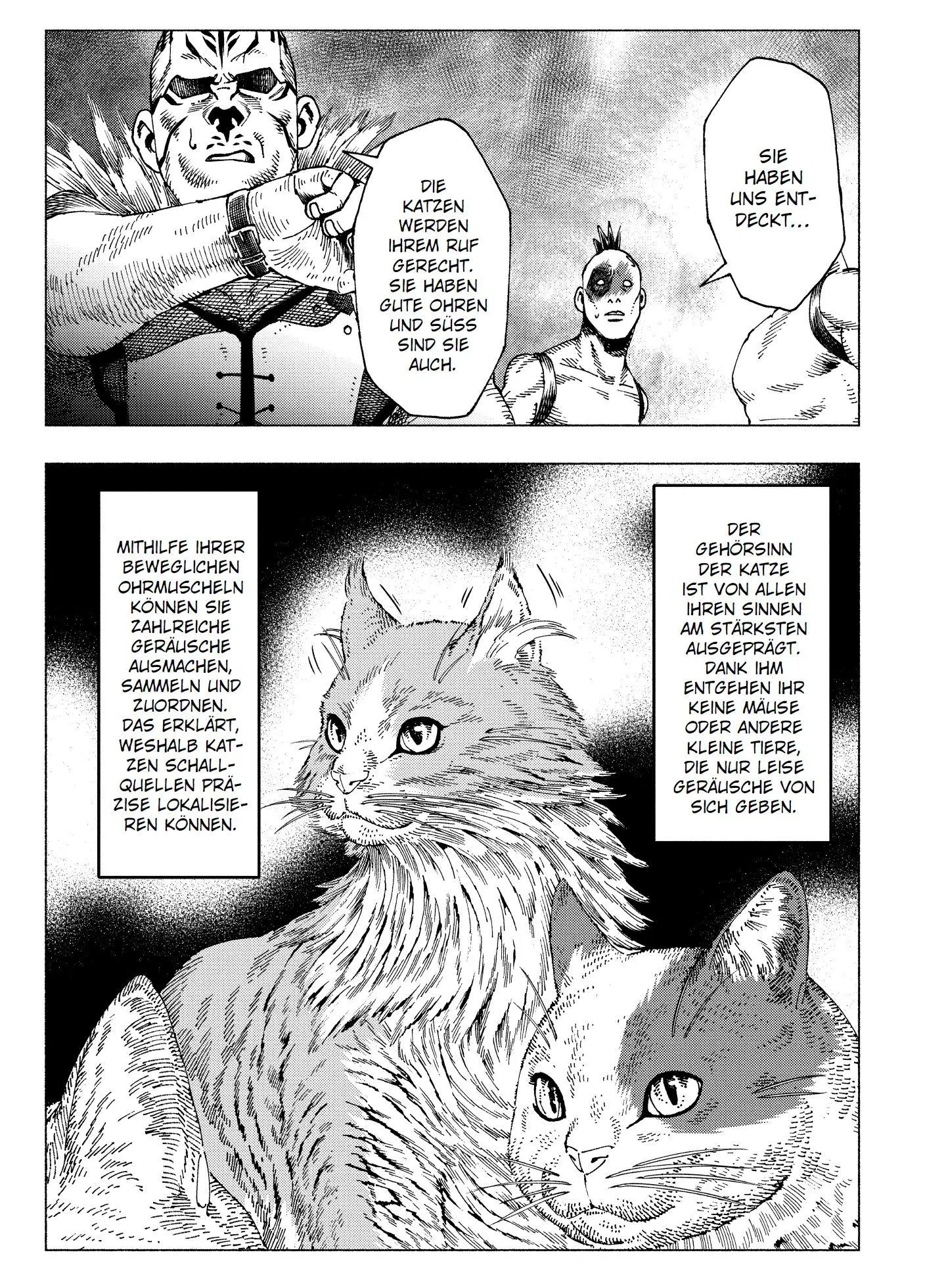 Bild: 9783741634666 | Night of the Living Cat 03 - Cat Max | Hawkman (u. a.) | Taschenbuch