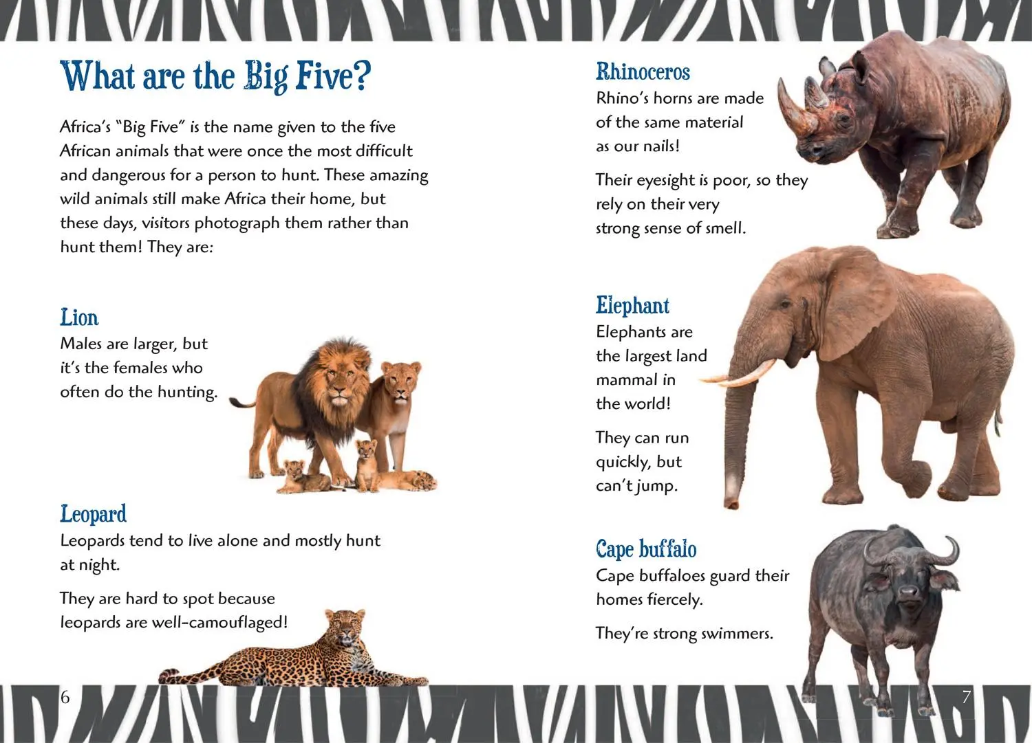 Bild: 9780008624866 | Big Cat for Little Wandle Fluency -- The Big Five | Fluency 8 | Manji