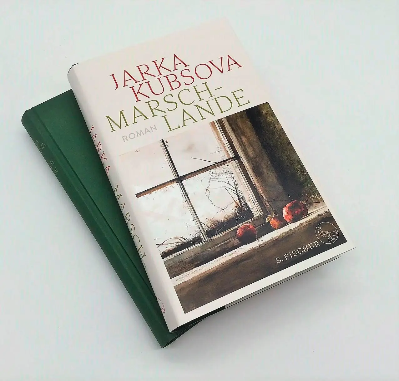 Bild: 9783103974966 | Marschlande | Roman | Jarka Kubsova | Buch | 316 S. | Deutsch | 2023