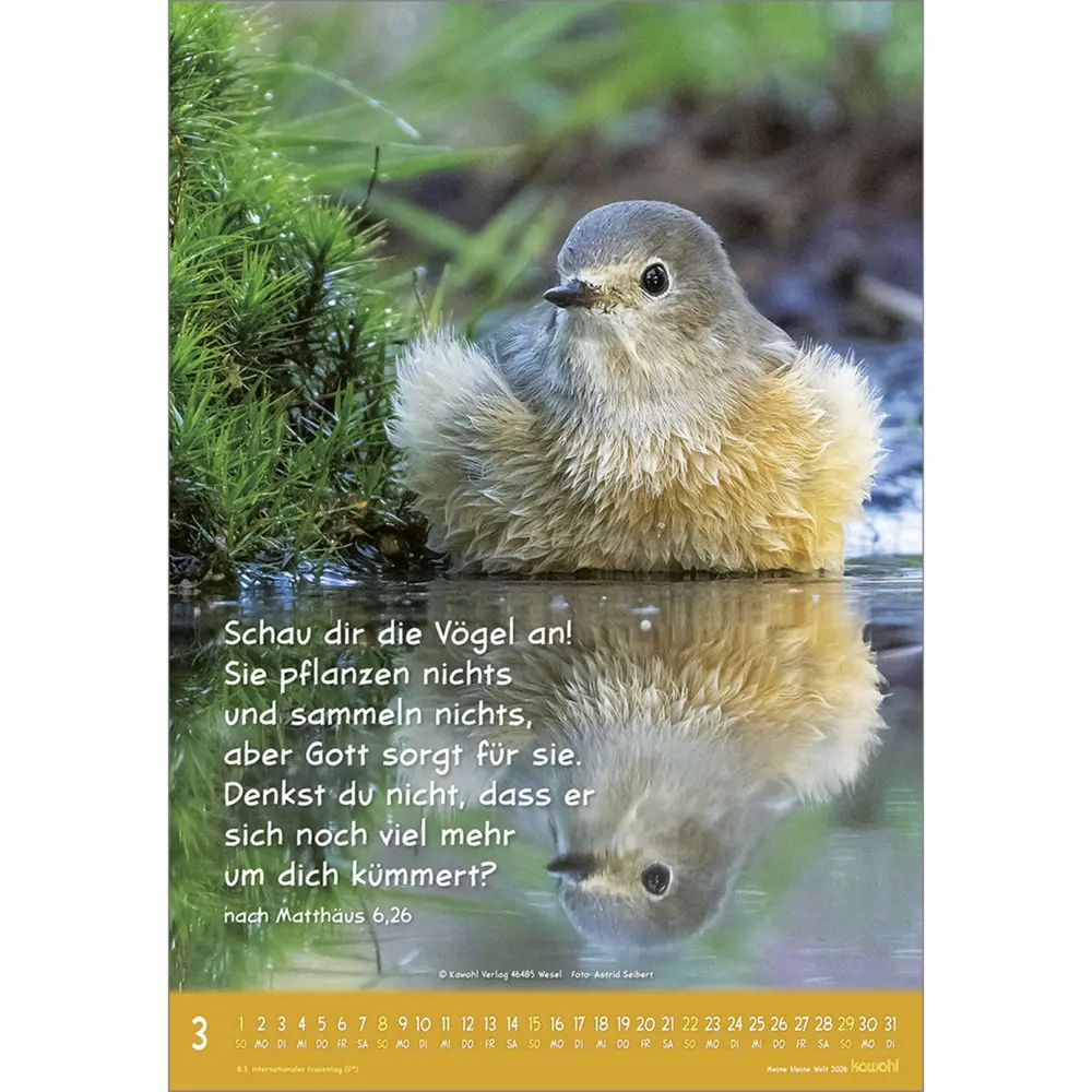 Bild: 9783754845066 | Meine kleine Welt 2026 | Tierkalender mit Bibelworten | Kalender