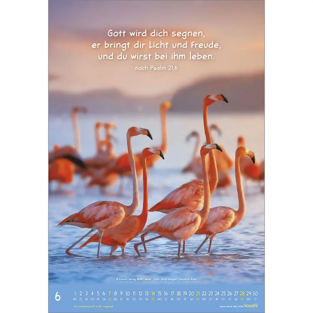 Bild: 9783754845066 | Meine kleine Welt 2026 | Tierkalender mit Bibelworten | Kalender