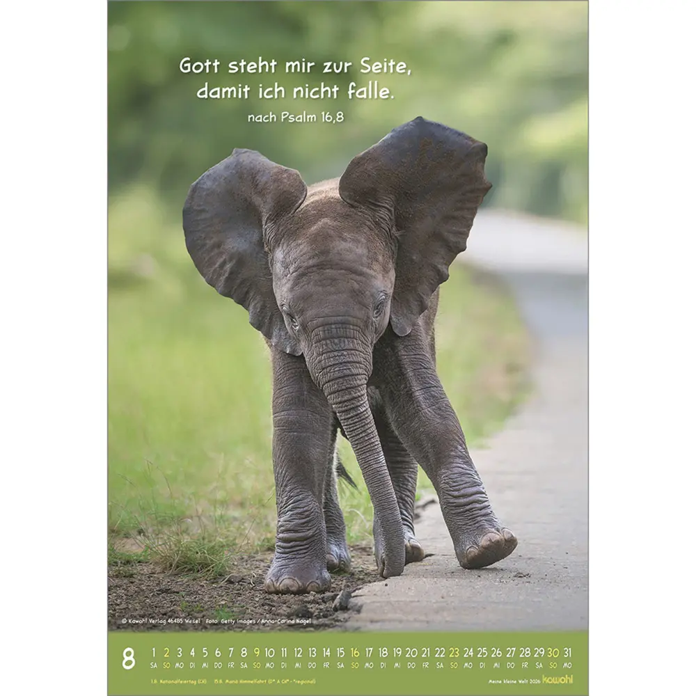 Bild: 9783754845066 | Meine kleine Welt 2026 | Tierkalender mit Bibelworten | Kalender