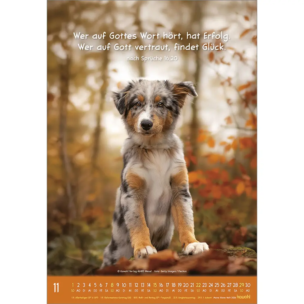 Bild: 9783754845066 | Meine kleine Welt 2026 | Tierkalender mit Bibelworten | Kalender