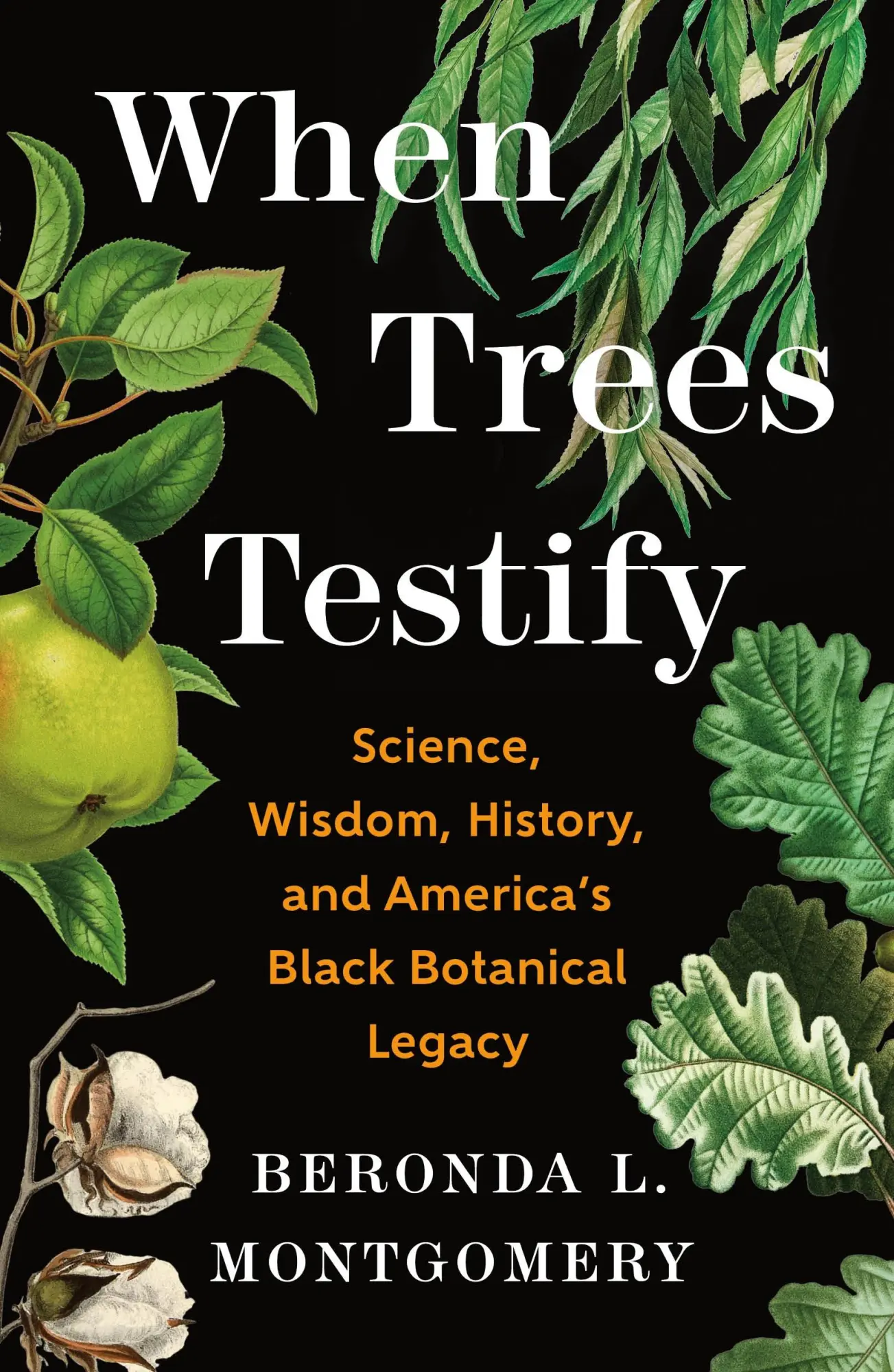Cover: 9781250335166 | When Trees Testify | Beronda L. Montgomery | Buch | Englisch | 2026