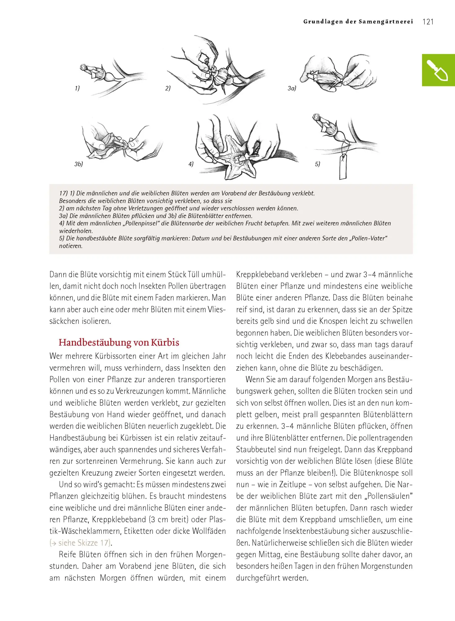 Bild: 9783706625166 | Das große Biogarten-Buch | Andrea Heistinger | Buch | 624 S. | Deutsch