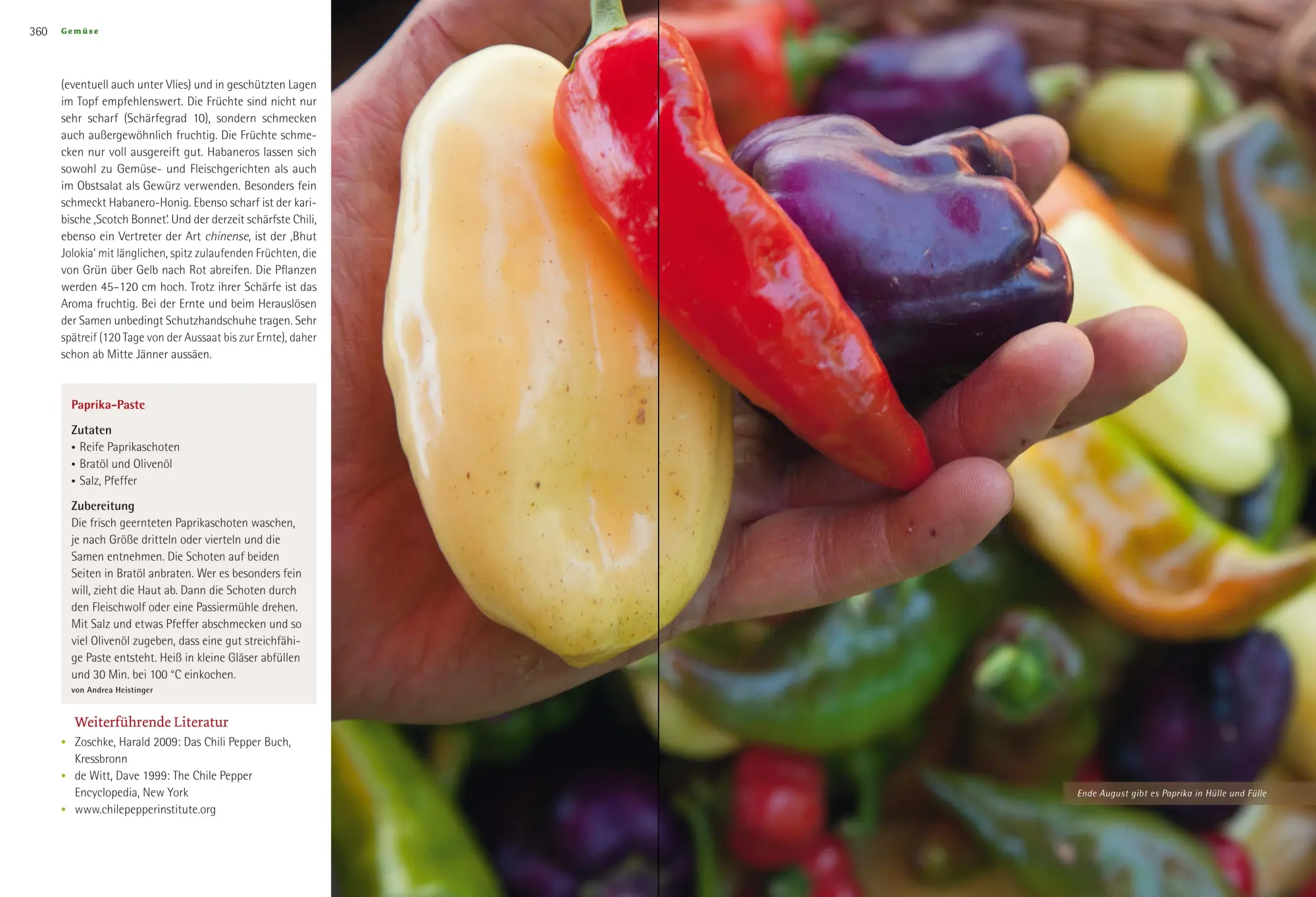 Bild: 9783706625166 | Das große Biogarten-Buch | Andrea Heistinger | Buch | 624 S. | Deutsch
