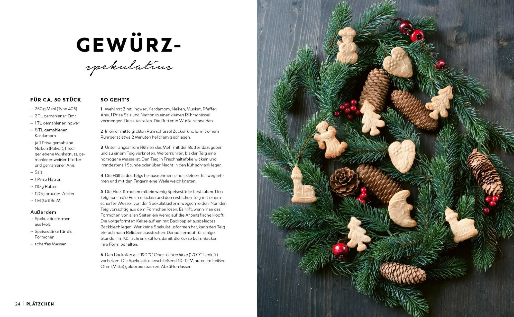 Bild: 9783745925166 | Das große Weihnachtsbacken - 100 Rezepte | Taschenbuch | 304 S. | 2025