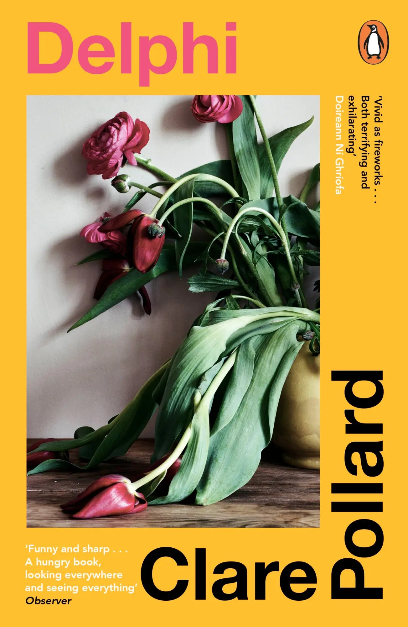 Cover: 9780241995266 | Delphi | Clare Pollard | Taschenbuch | B-format paperback | 208 S.