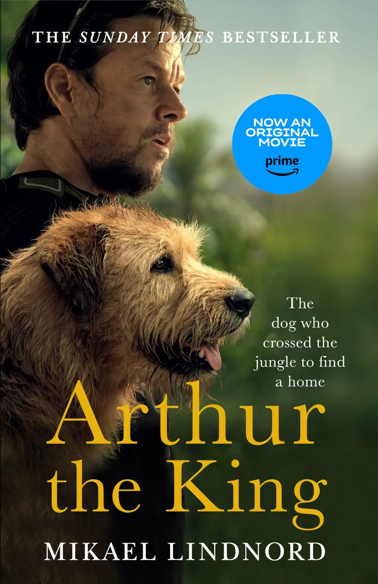 Cover: 9781473625266 | Arthur the King | The Dog Who Crossed the Jungle to Find a Home | Buch