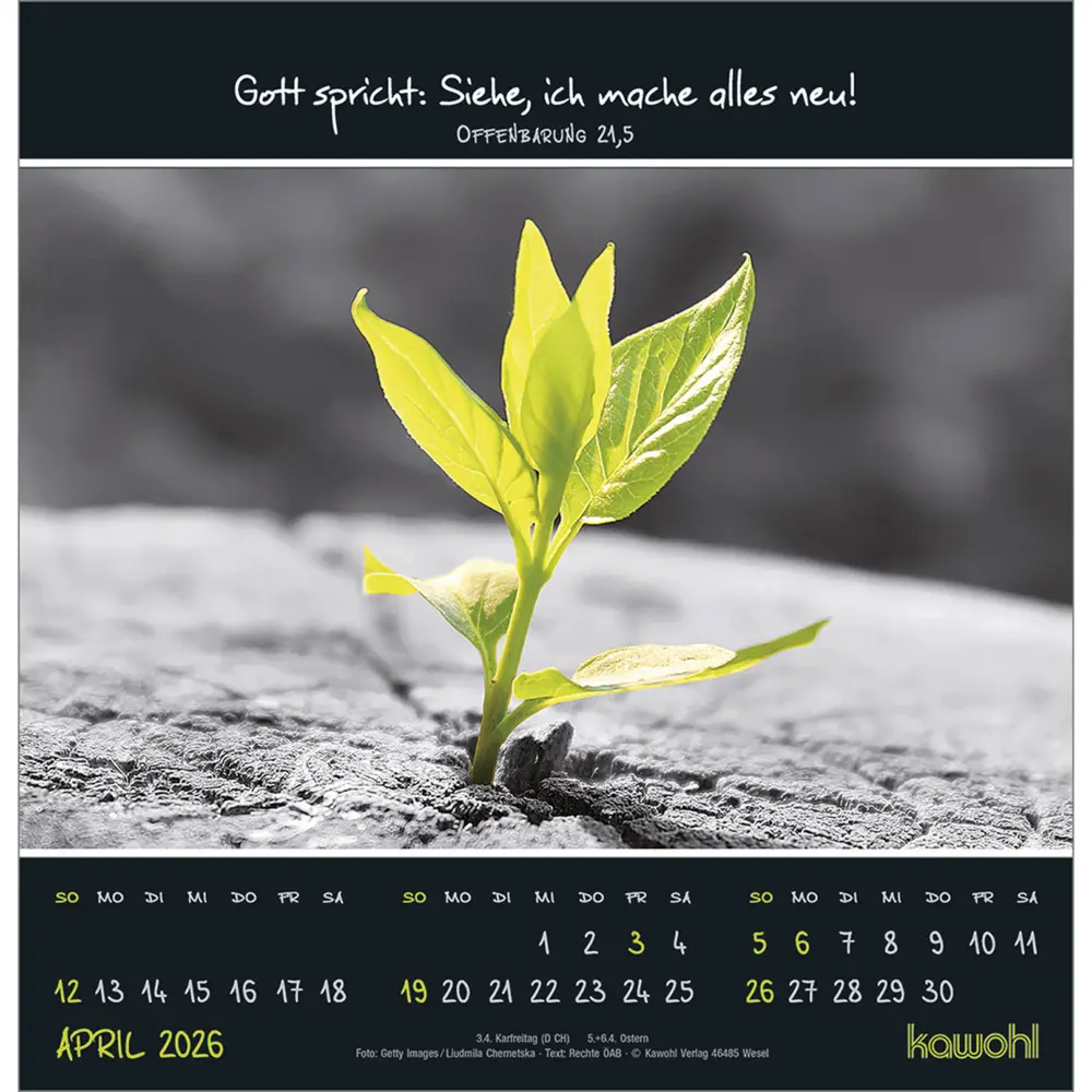 Bild: 9783754825266 | Kleine Wunder entdecken 2026 | Wandkalender mit christlichen Texten