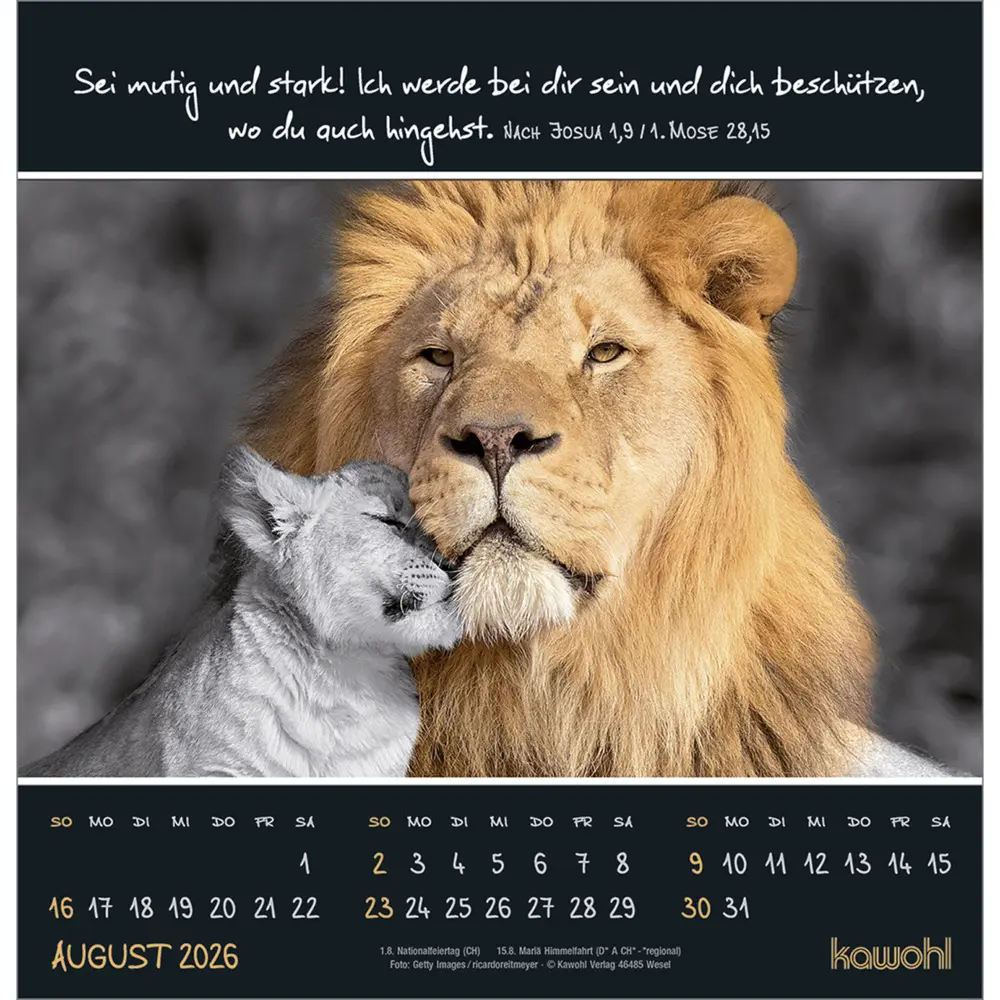 Bild: 9783754825266 | Kleine Wunder entdecken 2026 | Wandkalender mit christlichen Texten