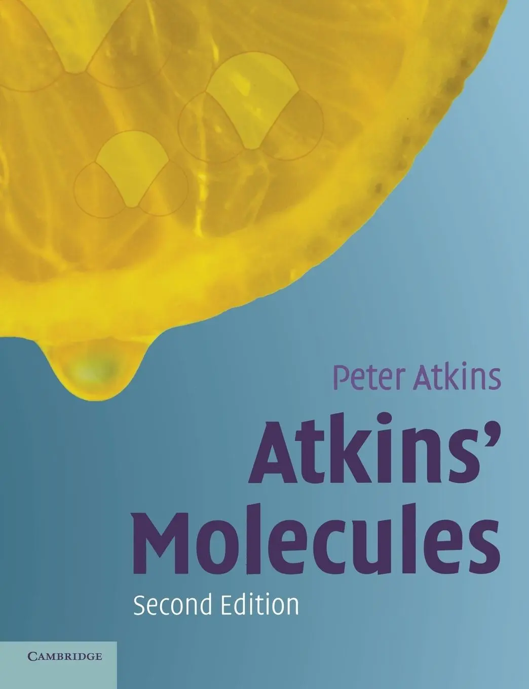 Cover: 9780521535366 | Atkins' Molecules | Peter Atkins (u. a.) | Taschenbuch | Englisch