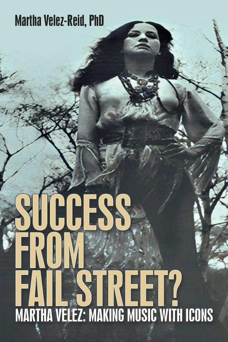 Cover: 9781665775366 | Success from Fail Street? | Martha Velez: Making Music with Icons