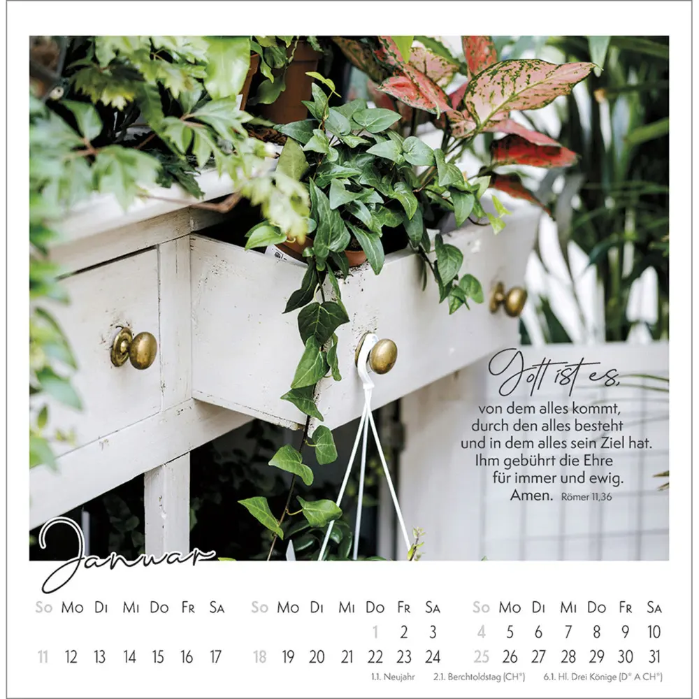 Bild: 9783754815366 | Kleine Auszeit im Grünen 2026 | Die Vielfalt der Schöpfung entdecken