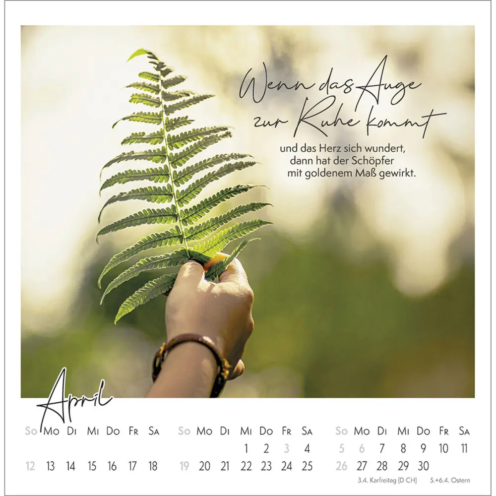 Bild: 9783754815366 | Kleine Auszeit im Grünen 2026 | Die Vielfalt der Schöpfung entdecken