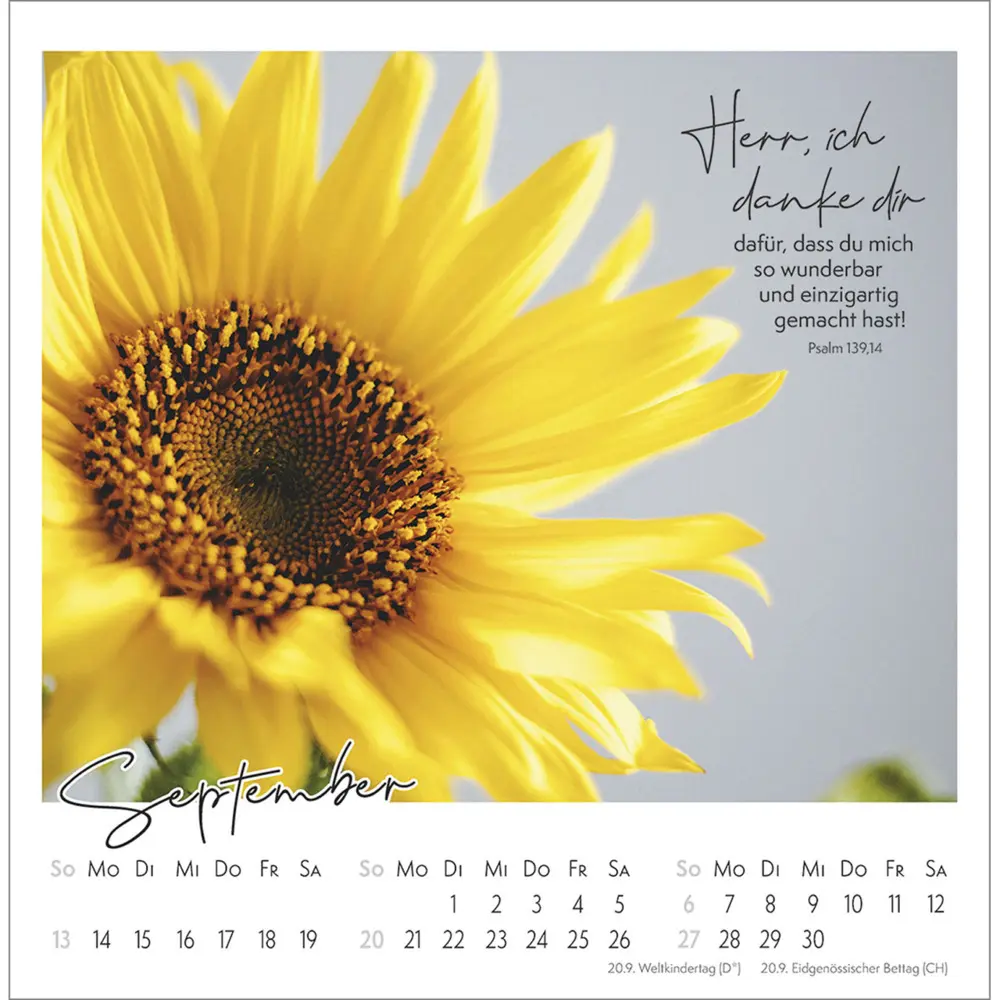 Bild: 9783754815366 | Kleine Auszeit im Grünen 2026 | Die Vielfalt der Schöpfung entdecken